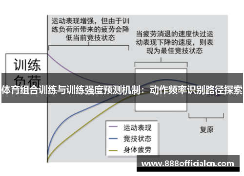体育组合训练与训练强度预测机制：动作频率识别路径探索